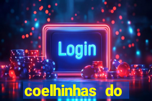 coelhinhas do brasil recife